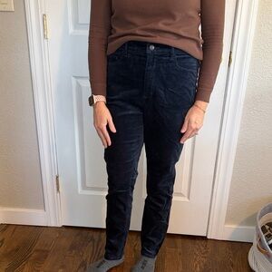 NWT Loft Velvet Navy Skinny Pants size 30